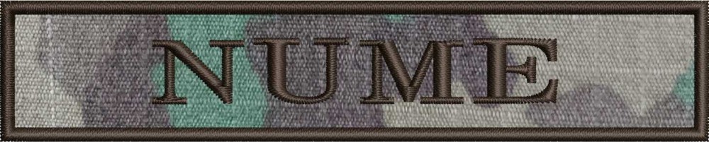 ECUSON NOMINAL COMBAT FORTELE TERESTRE | ECUSON NOMINAL COMBAT MAPN